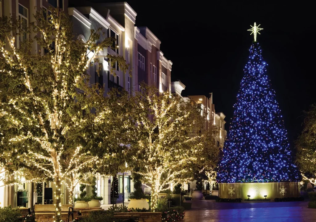 Master's Holiday Lighting|Blog