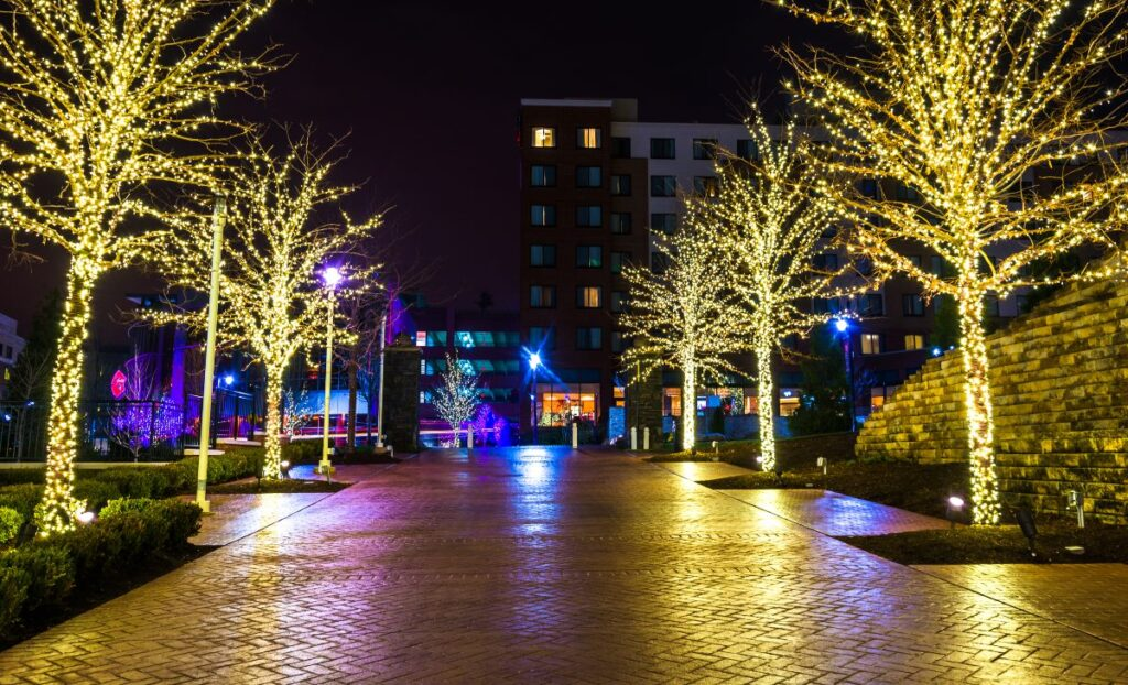 lighting services